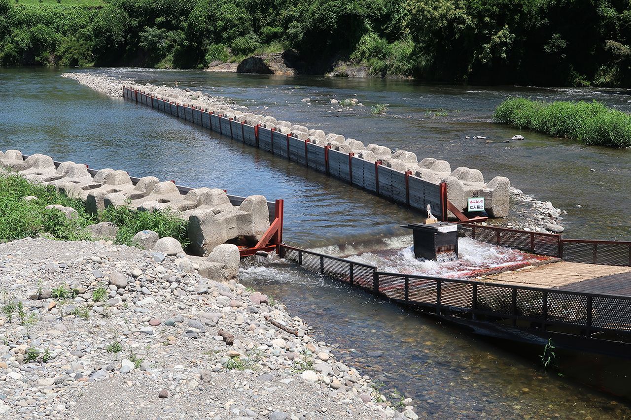 夏の風物詩「やな」